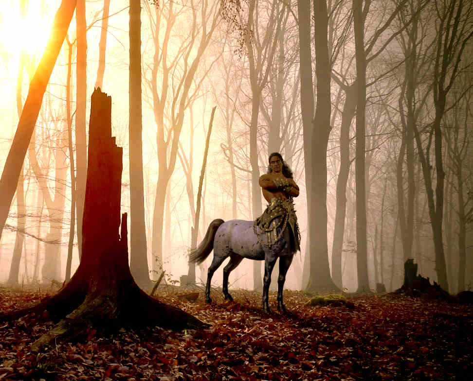 Passion-Astrologue-transits-de-chiron